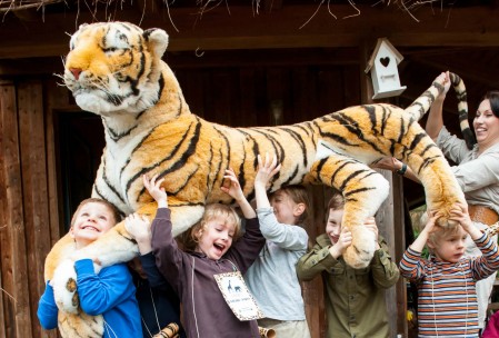 Roaarr - Jetzt wird's wild! Roaarr - Jetzt wird's wild!