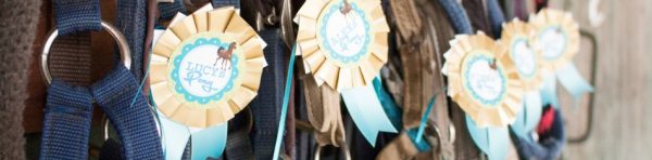Das Glück dieser Erde... - Eine Pony-Geburtstags-Party