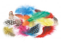 145055_610797_P-2013.08.14_30769