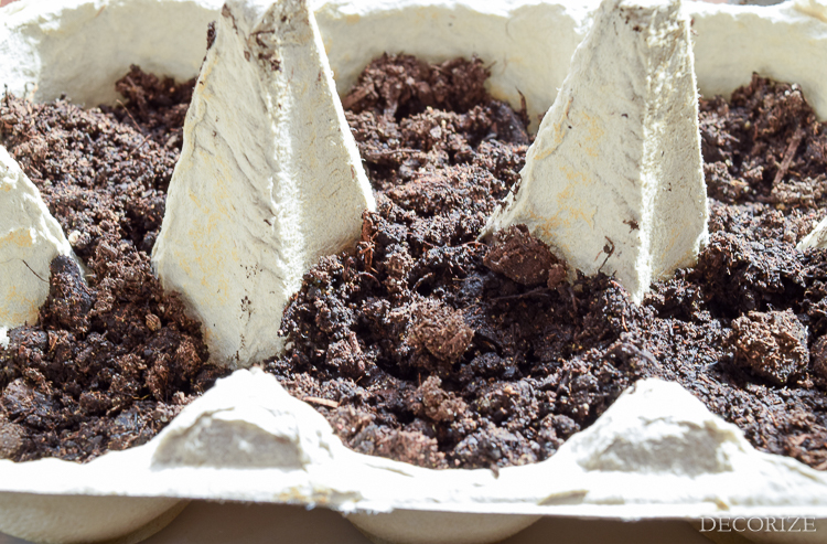 Gemüse-Stecker-3043