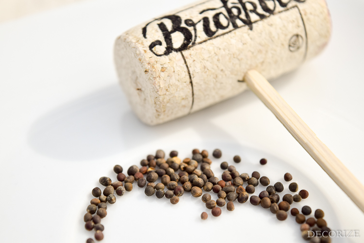 Gemüse-Stecker-3054