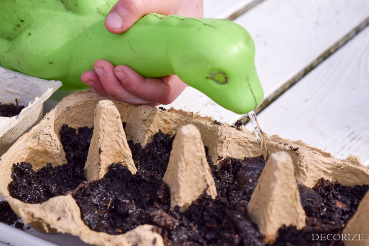 Gemüse-Stecker-3057