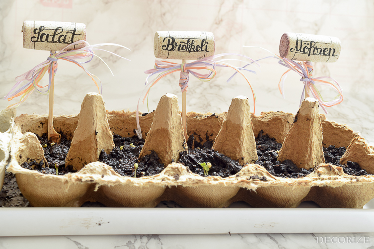 Gemüse Stecker-3134