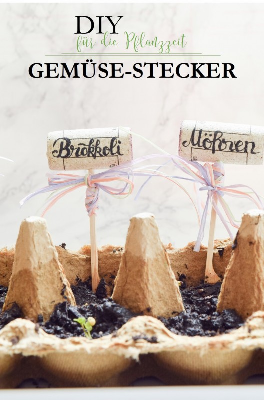 gemüse-stecker pinterest