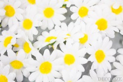 Decorize Workshop Summertime (38 von 53)