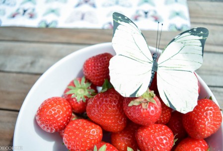 Sommer-Tischdeko Schmetterling-15