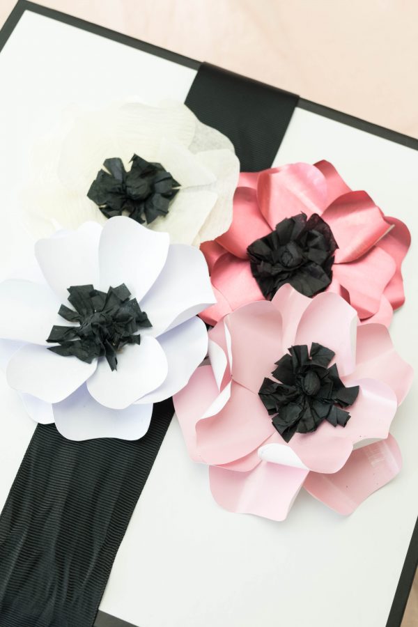 Anemoni - Template fürs Insta-Live